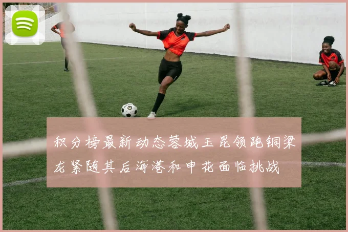 积分榜最新动态蓉城玉昆领跑铜梁龙紧随其后海港和申花面临挑战