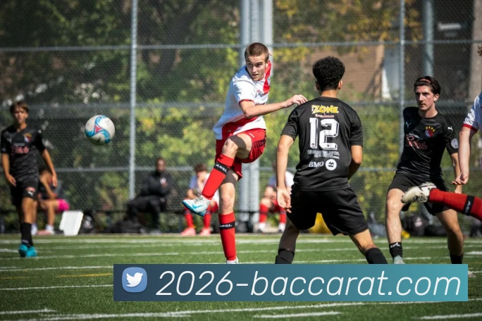 百家乐网站平台生态图